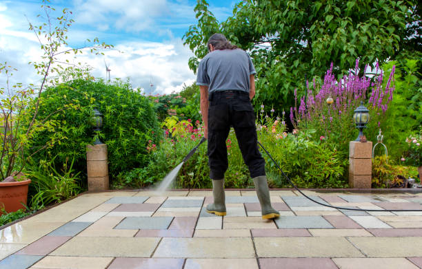 Professional Pressure Washing in Hempstead, TX